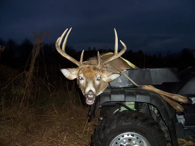 $290,000 | Par A Monroe Road, Lakeview, MI 48850