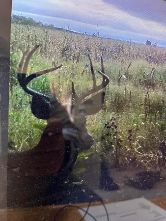 $290,000 | Par A Monroe Road, Lakeview, MI 48850