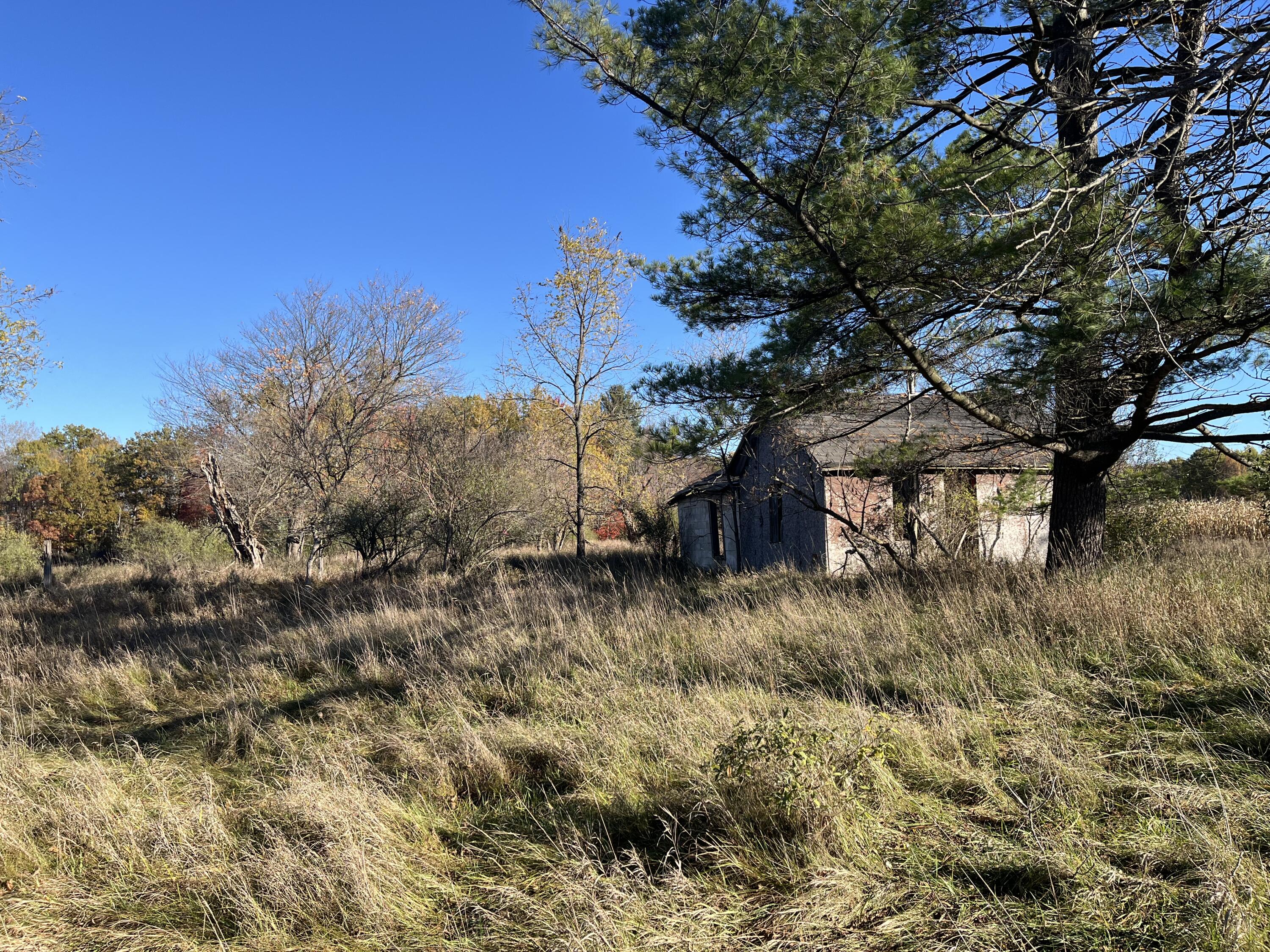 Par A Monroe Road Lakeview, MI 48850 - Photo 5 of 25 IMG_0447