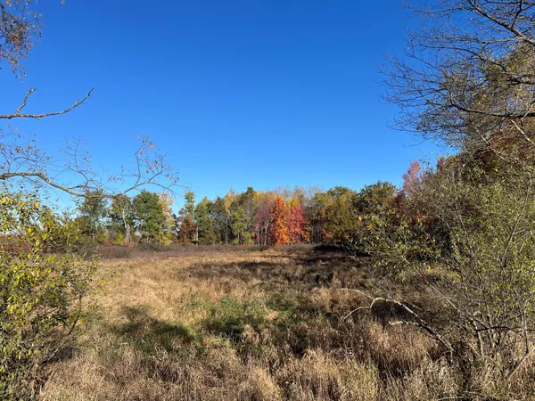 $290,000 | Par A Monroe Road, Lakeview, MI 48850