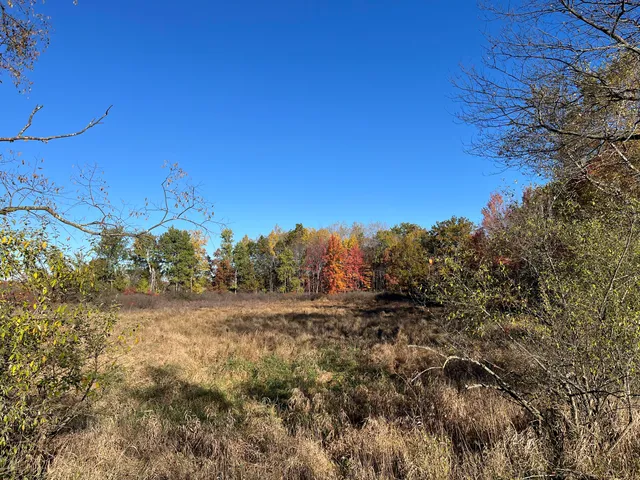 $290,000 | Par A Monroe Road, Lakeview, MI 48850