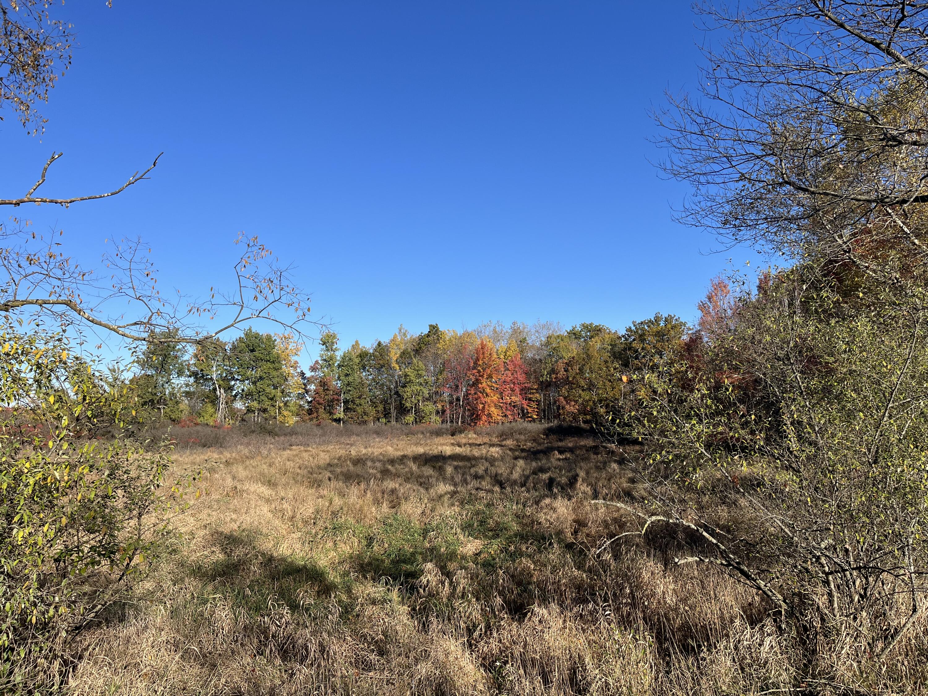 Par A Monroe Road Lakeview, MI 48850 - Photo 6 of 25 IMG_0449
