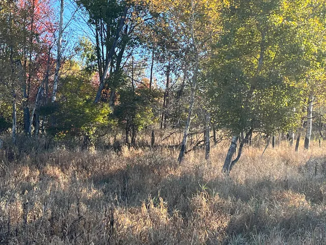 $290,000 | Par A Monroe Road, Lakeview, MI 48850