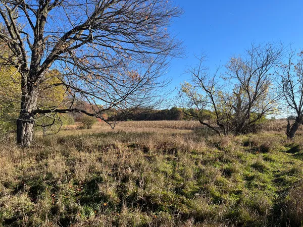 $290,000 | Par A Monroe Road, Lakeview, MI 48850