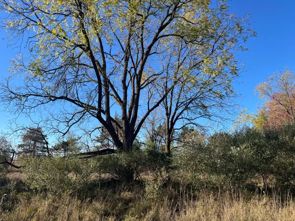 $290,000 | Par A Monroe Road, Lakeview, MI 48850