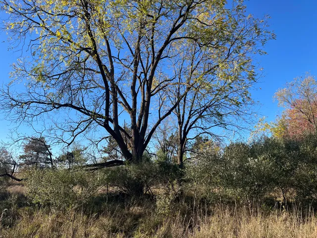 $290,000 | Par A Monroe Road, Lakeview, MI 48850