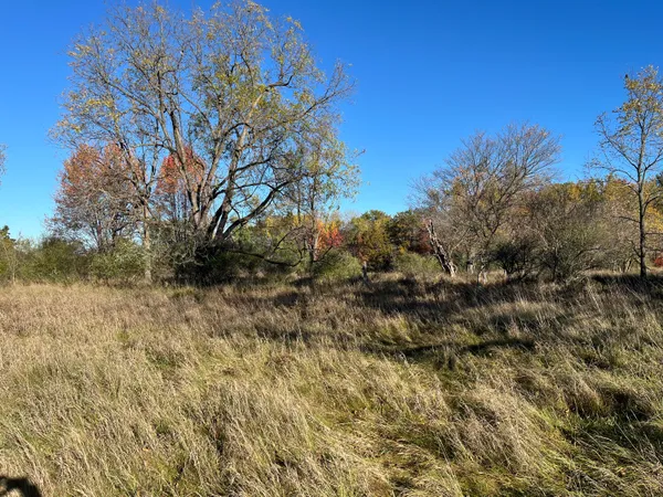 $290,000 | Par A Monroe Road, Lakeview, MI 48850