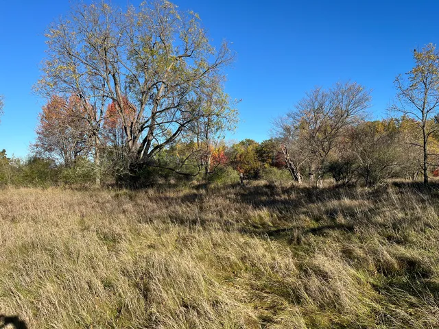 $290,000 | Par A Monroe Road, Lakeview, MI 48850