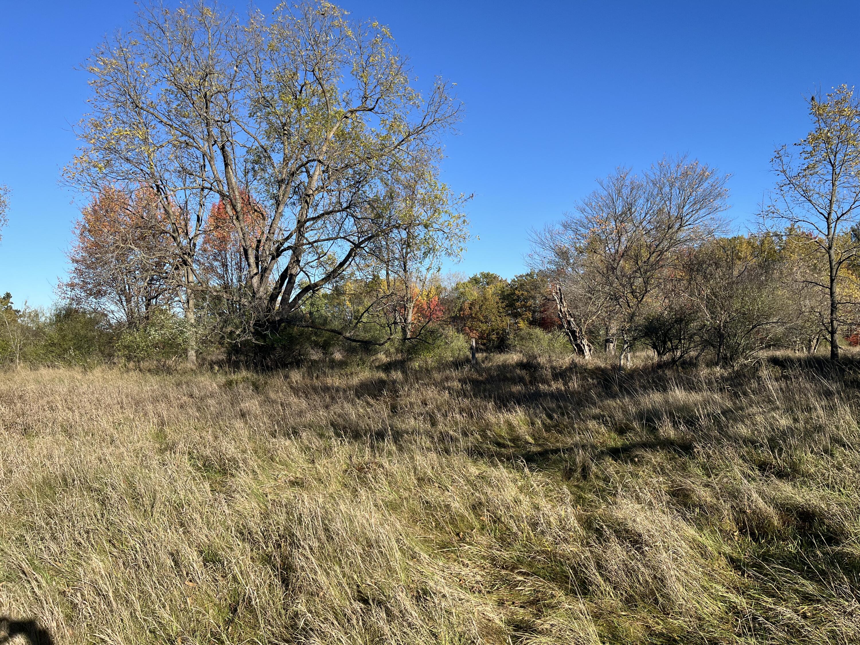 Par A Monroe Road Lakeview, MI 48850 - Photo 10 of 25 IMG_0448
