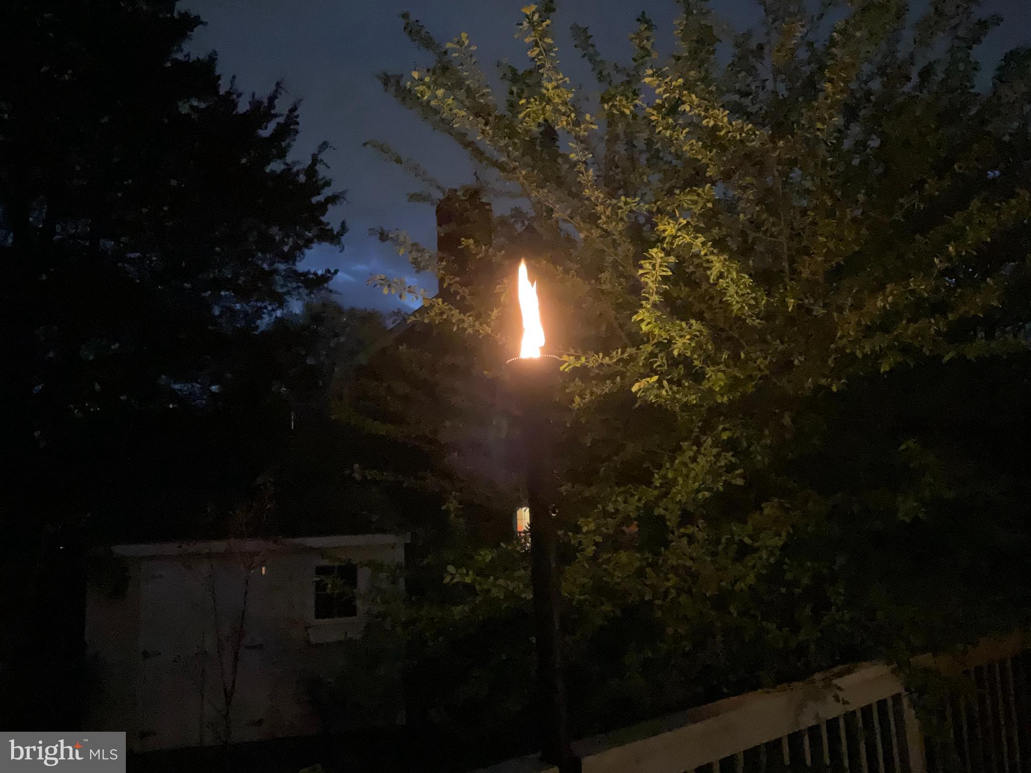 9300 Mintwood Street Silver Spring, MD 20901 - Photo 45 of 115 Tiki Torches for night entertainment