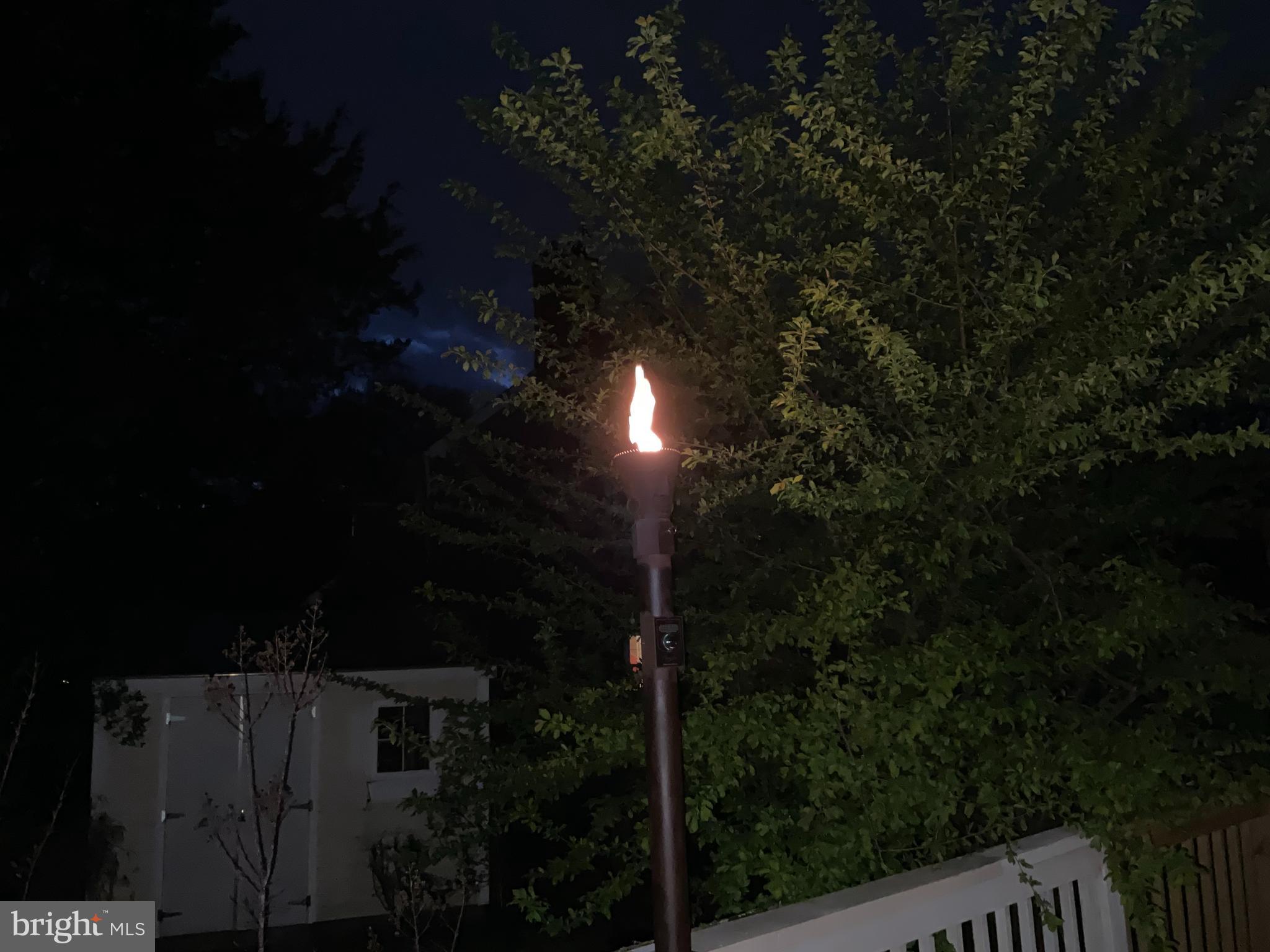9300 Mintwood Street Silver Spring, MD 20901 - Photo 46 of 115