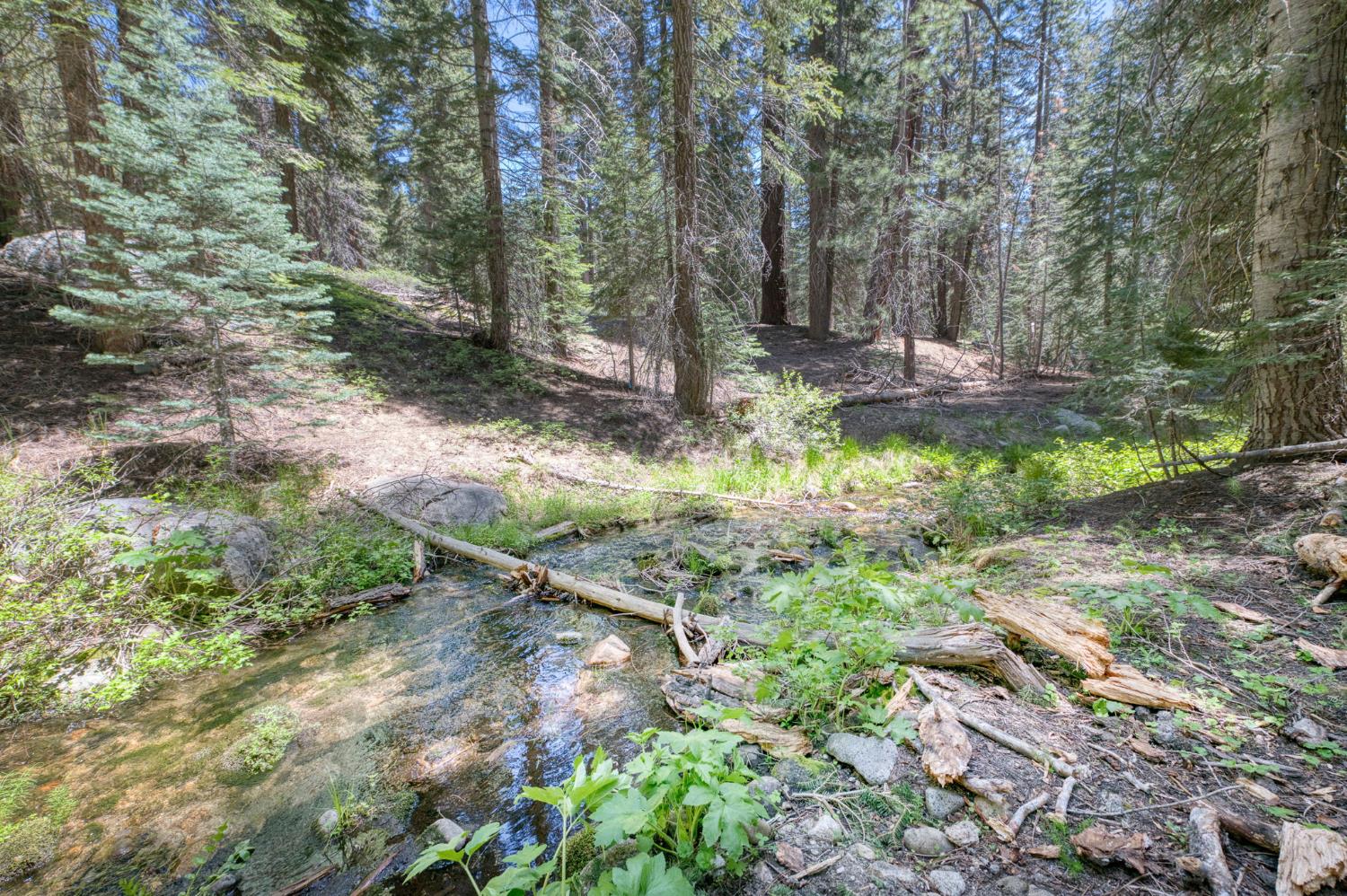 61480 Huntington Lake Road, Unit 5 Mono Hot Springs, CA 93642 - Photo 49 of 51