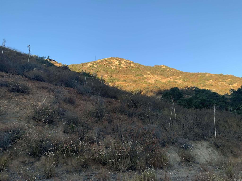 0 North Broadway Escondido, CA 92026 - Photo 3 of 12 a view of a dry mountains