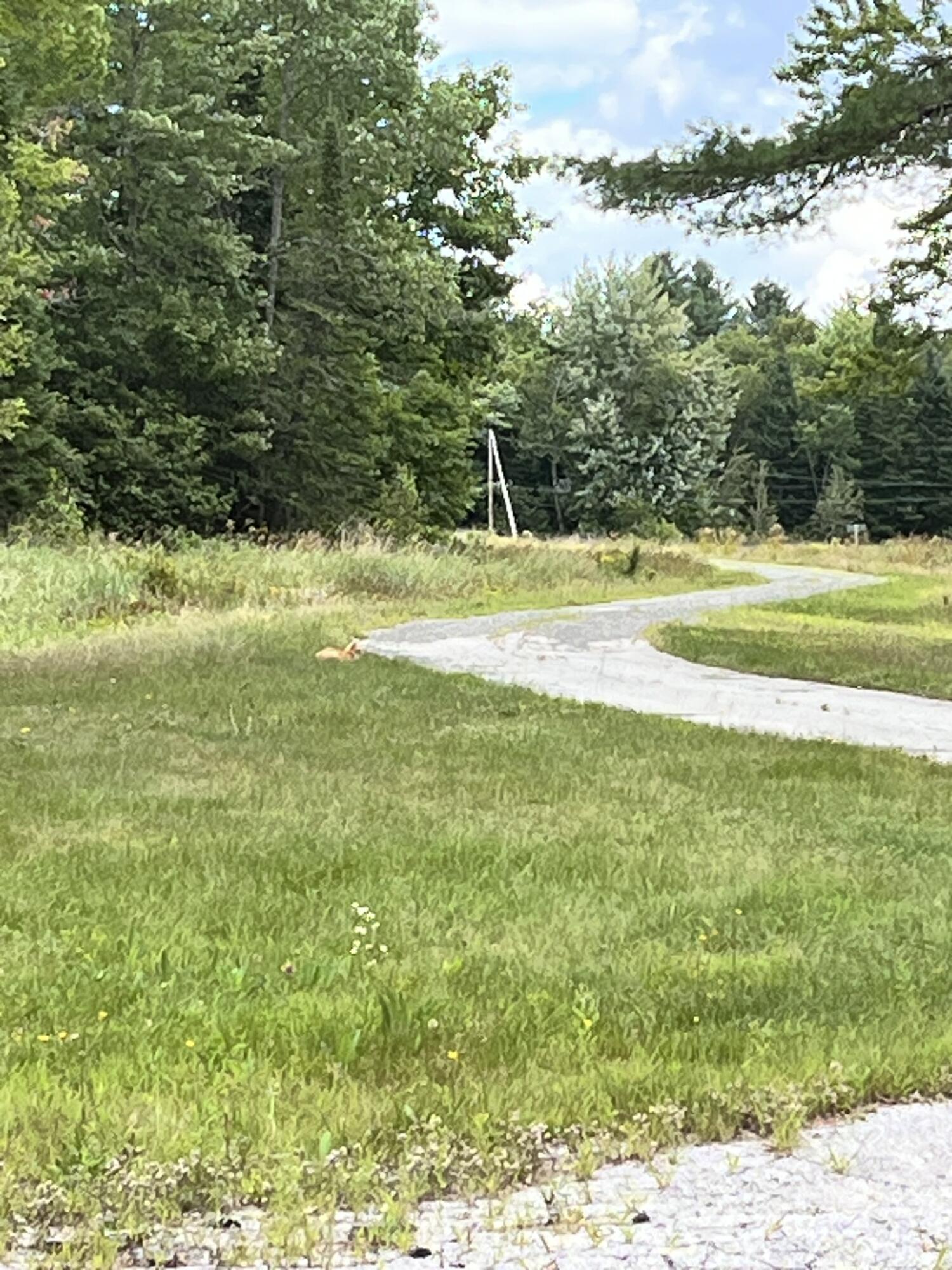 474 North Howland Road Howland, ME 04448 - Photo 100 of 103 IMG_1784