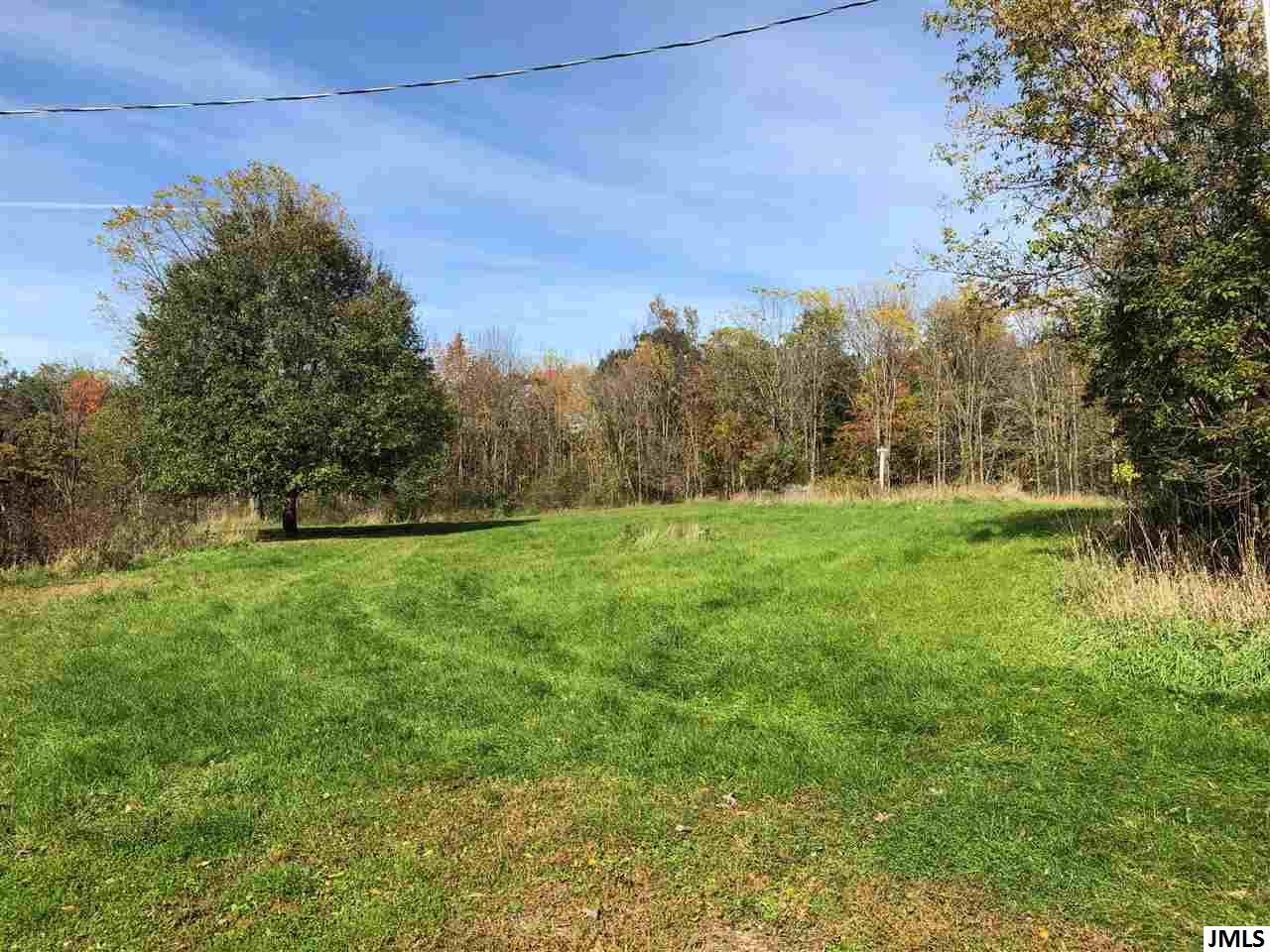 6252 Nichols Road Mason, MI 48854 - Photo 6 of 7 Photo 6
