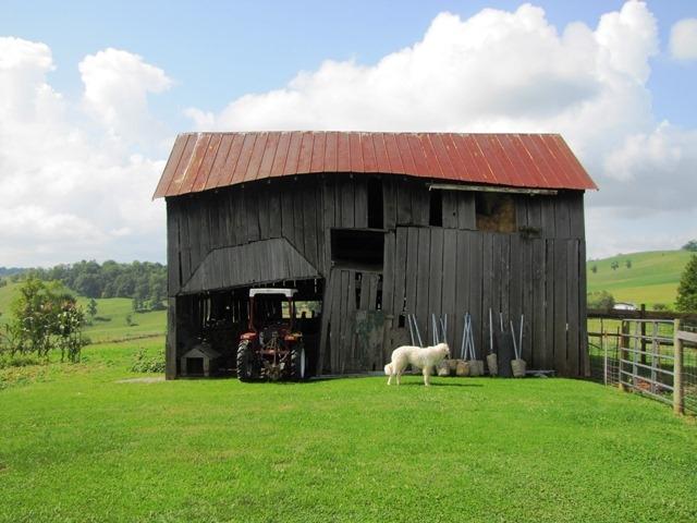 1925 Nickells Mill Road Ronceverte, WV 24970 - Photo 25 of 40 Gallery Image 25