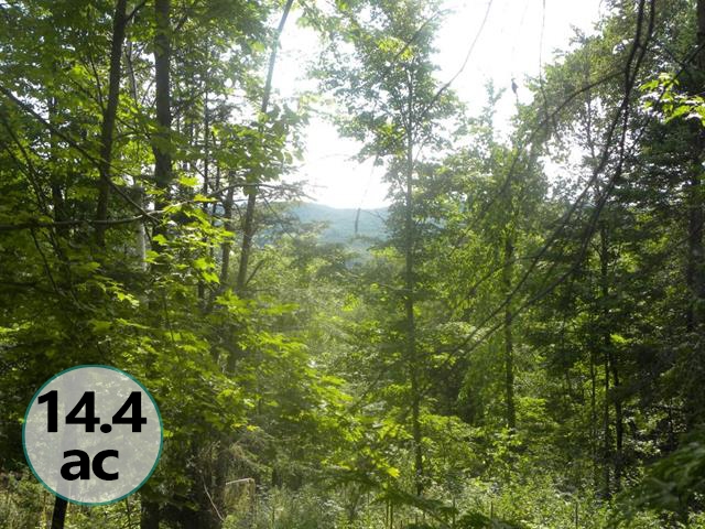 0 Fall Brook Road Lyndonville, VT 05851 - Photo 1 of 2 Gallery Image 1
