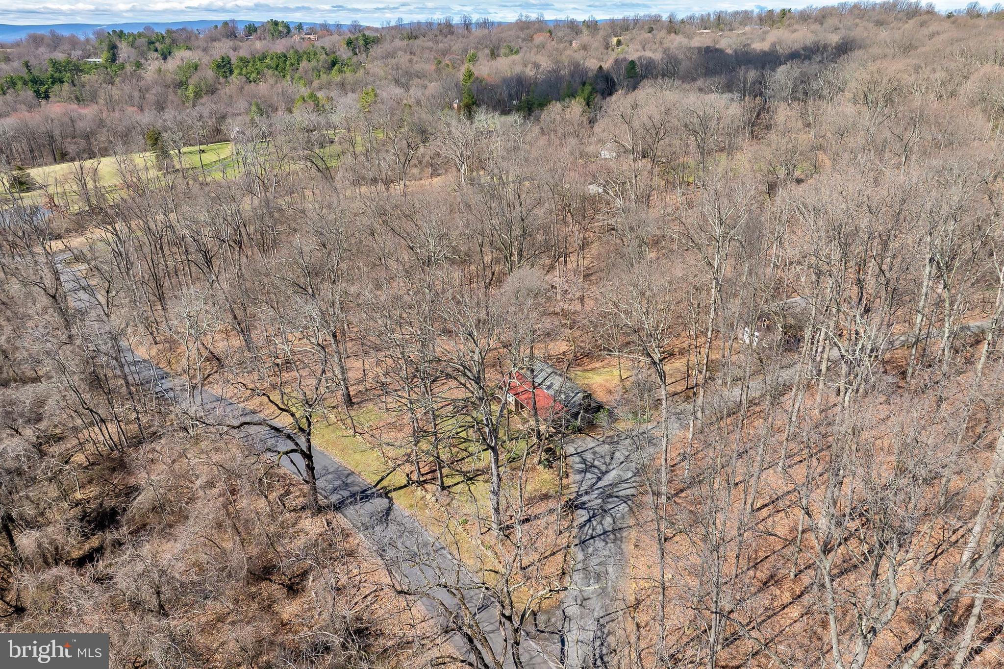 39340 Mt Gilead Road Leesburg, VA 20175 - Photo 4 of 111 Gallery Image 4