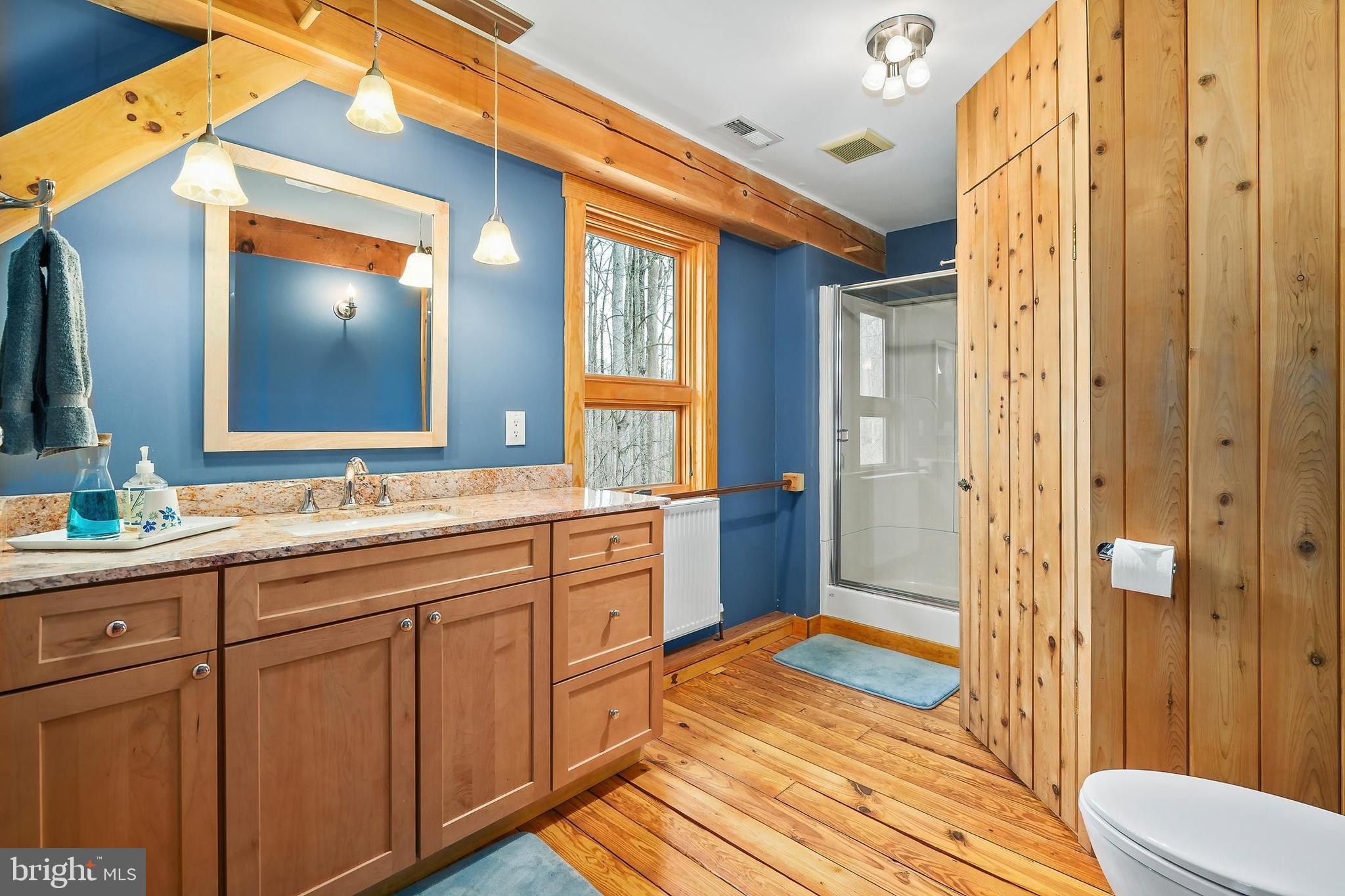 39340 Mt Gilead Road Leesburg, VA 20175 - Photo 53 of 111 Gallery Image 53