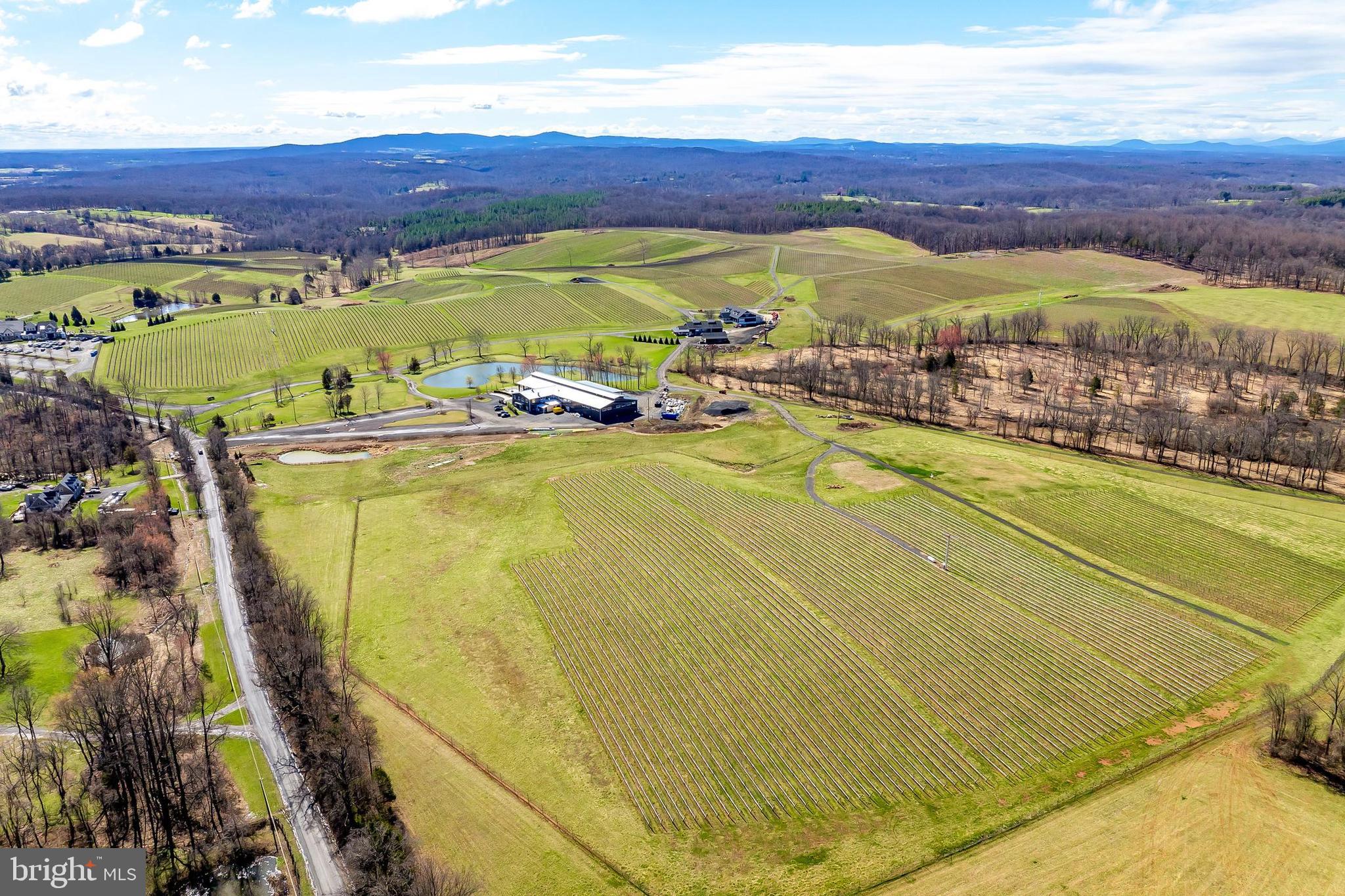 39340 Mt Gilead Road Leesburg, VA 20175 - Photo 87 of 111 Gallery Image 87