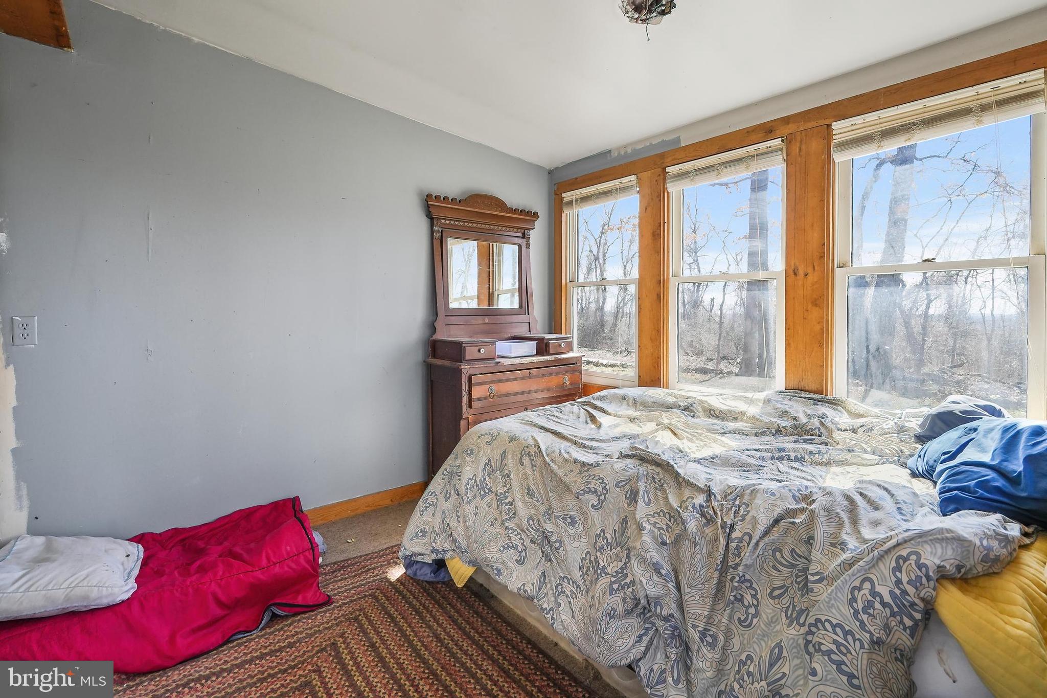 39340 Mt Gilead Road Leesburg, VA 20175 - Photo 100 of 111 Gallery Image 100