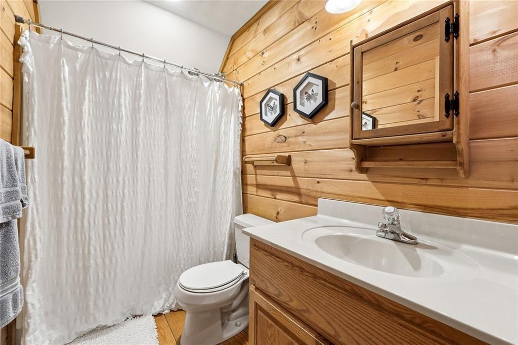 834 Indian Cave Road Ellijay, GA 30536 - Photo 19 of 44 a bathroom with a sink and a toilet