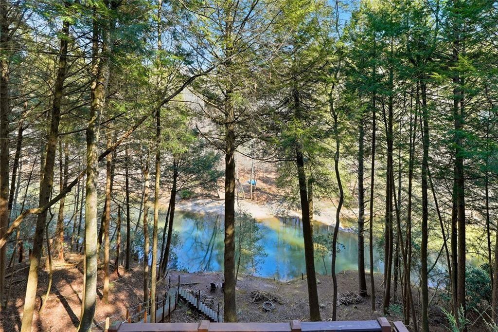 834 Indian Cave Road Ellijay, GA 30536 - Photo 32 of 44 a view of a forest with trees