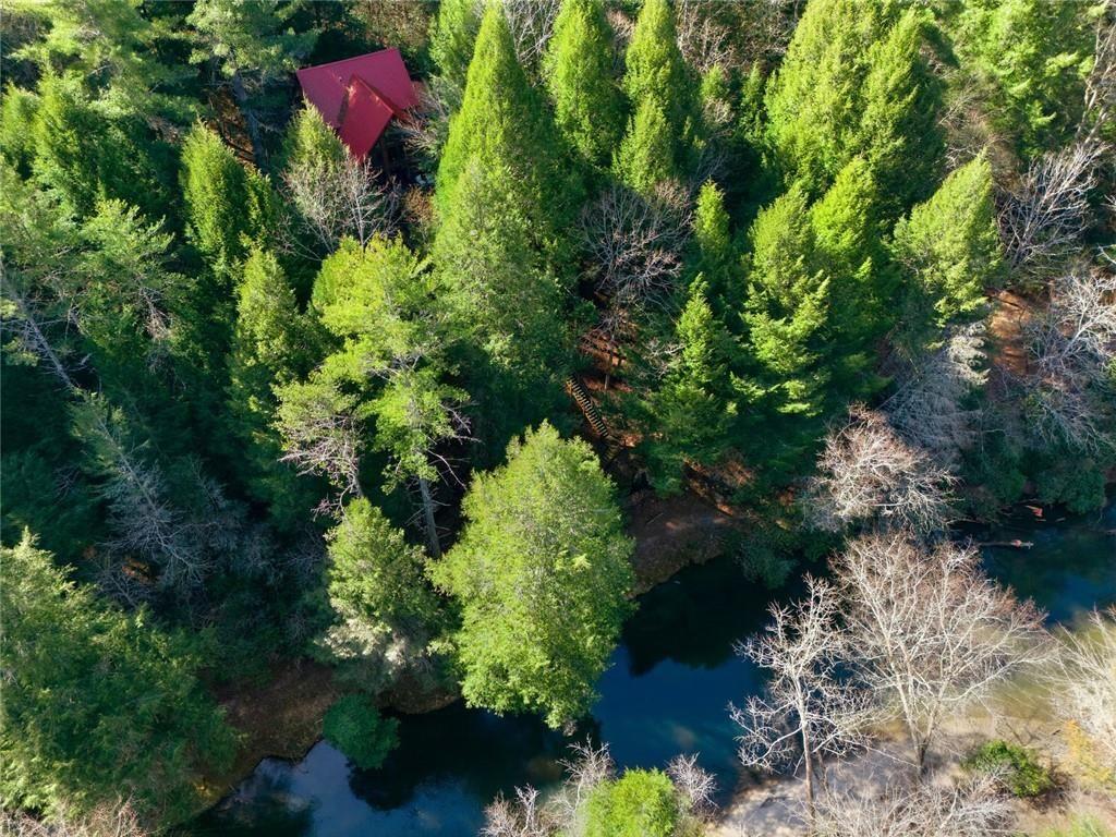 834 Indian Cave Road Ellijay, GA 30536 - Photo 42 of 44