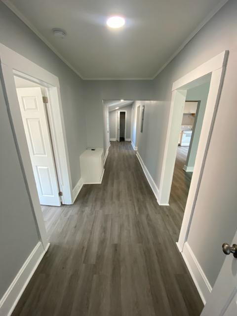 2479 Bratton Street Columbia, SC 29205 - Photo 4 of 29
