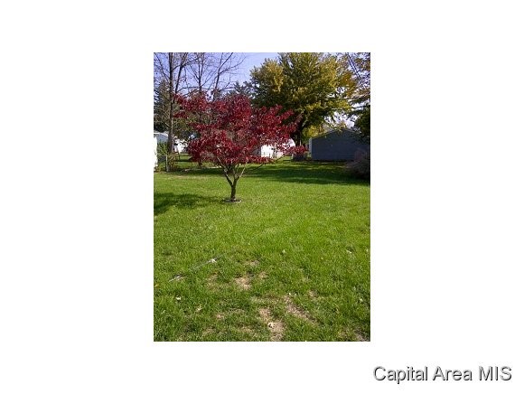 2916 South 3rd Street Springfield, IL 62703 - Photo 2 of 8