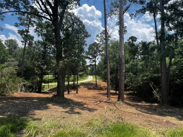a view of outdoor space with trees