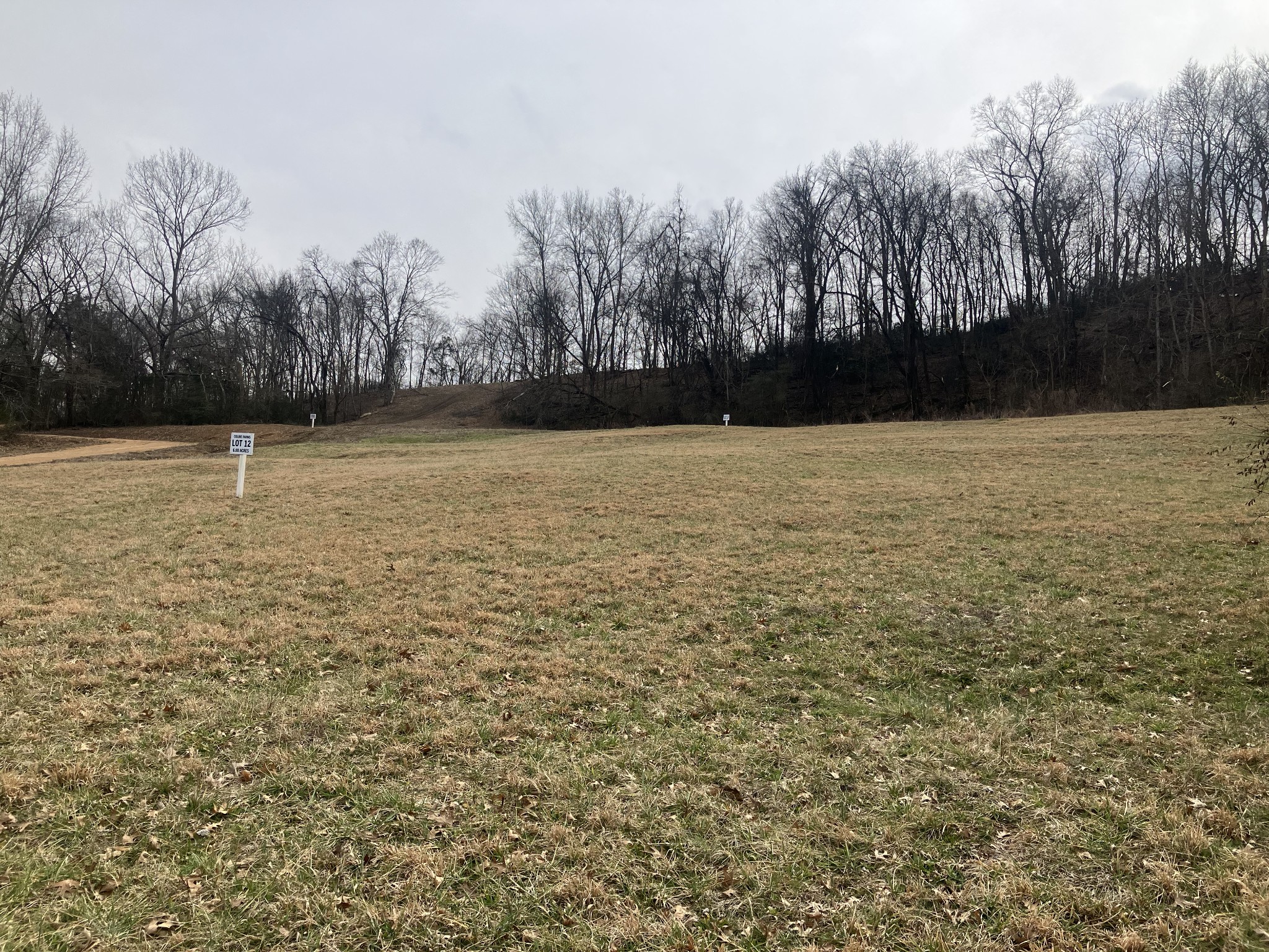 12 Booker Ridge Road Mount Pleasant, TN 38474 - Photo 4 of 8 a view of yard with trees