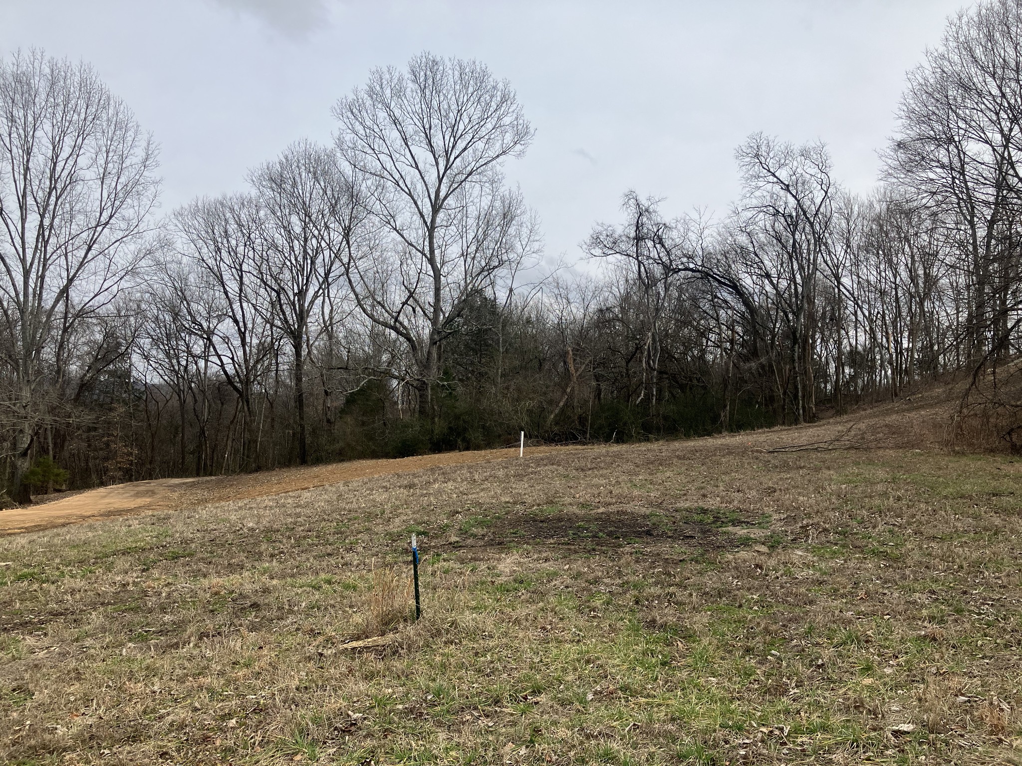 12 Booker Ridge Road Mount Pleasant, TN 38474 - Photo 7 of 8 a view of backyard with wooden fence