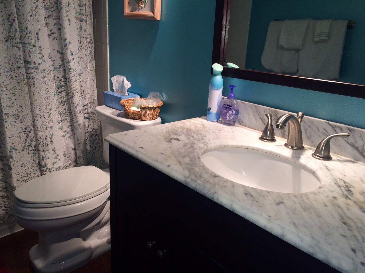 6468 Sweet Maple Lane Boca Raton, FL 33433 - Photo 10 of 11 binstockbath2