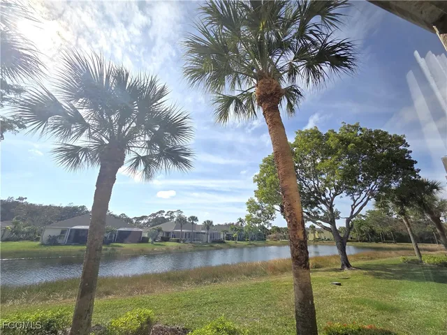 a view of lake with a tree