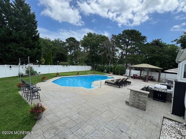 41 Netty Street Howell, NJ 07731 - Photo 47 of 57 41 Netty_Pool_1