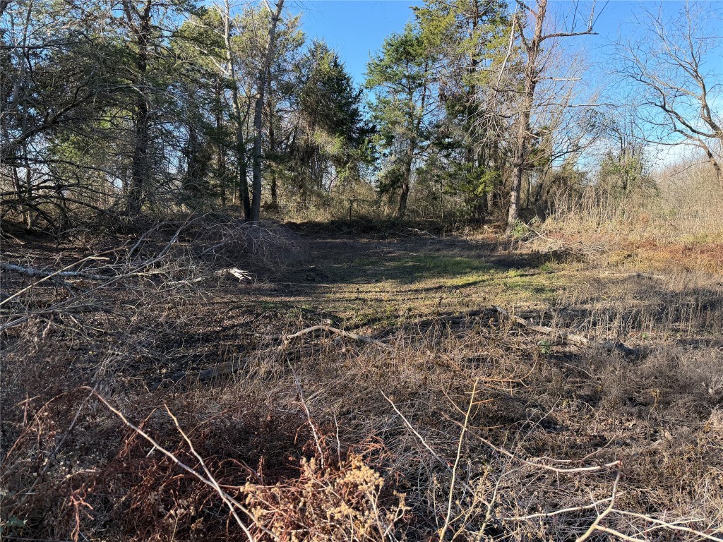 925 Tract 17 Road Mexia, TX 76667 - Photo 1 of 13 a view of yard