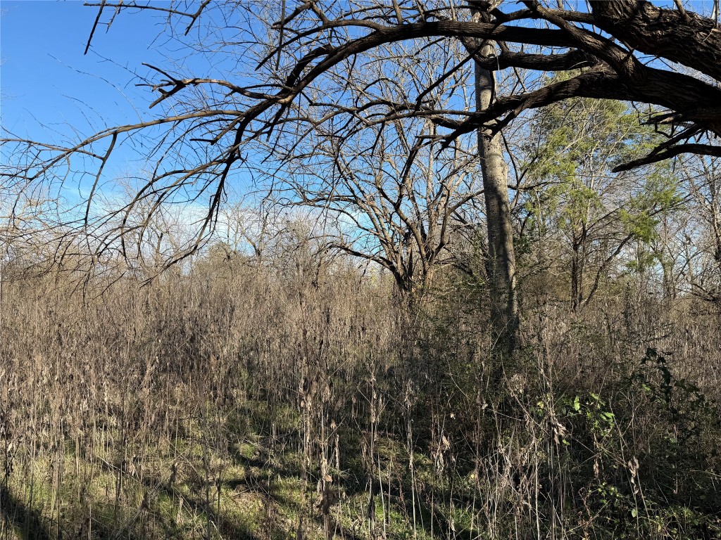 925 Tract 17 Road Mexia, TX 76667 - Photo 11 of 13 a view of a yard