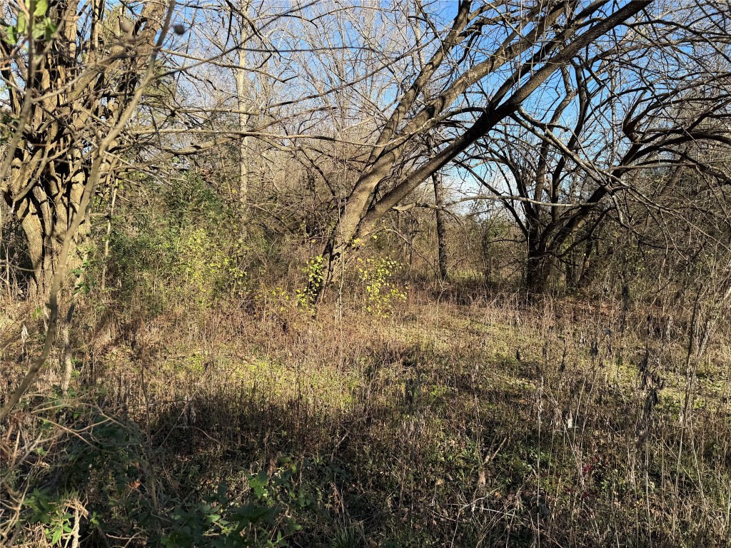 925 Tract 17 Road Mexia, TX 76667 - Photo 2 of 13