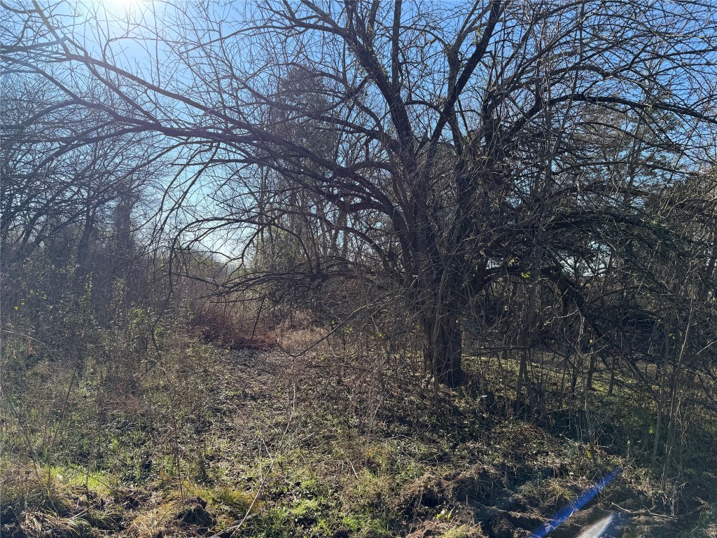 925 Tract 17 Road Mexia, TX 76667 - Photo 4 of 13 a view of a forest with trees