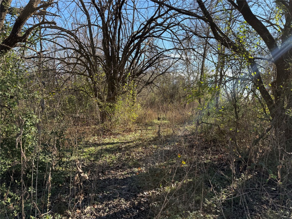 925 Tract 17 Road Mexia, TX 76667 - Photo 6 of 13 a view of a yard with a tree