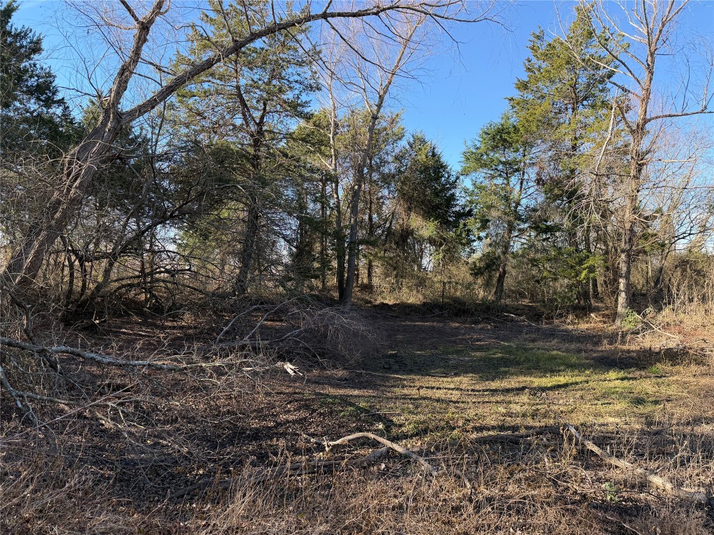 925 Tract 17 Road Mexia, TX 76667 - Photo 7 of 13 a view of a yard with wooden fence