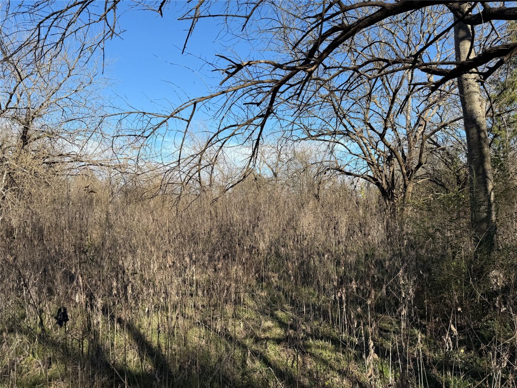 925 Tract 17 Road Mexia, TX 76667 - Photo 8 of 13 a view of a yard