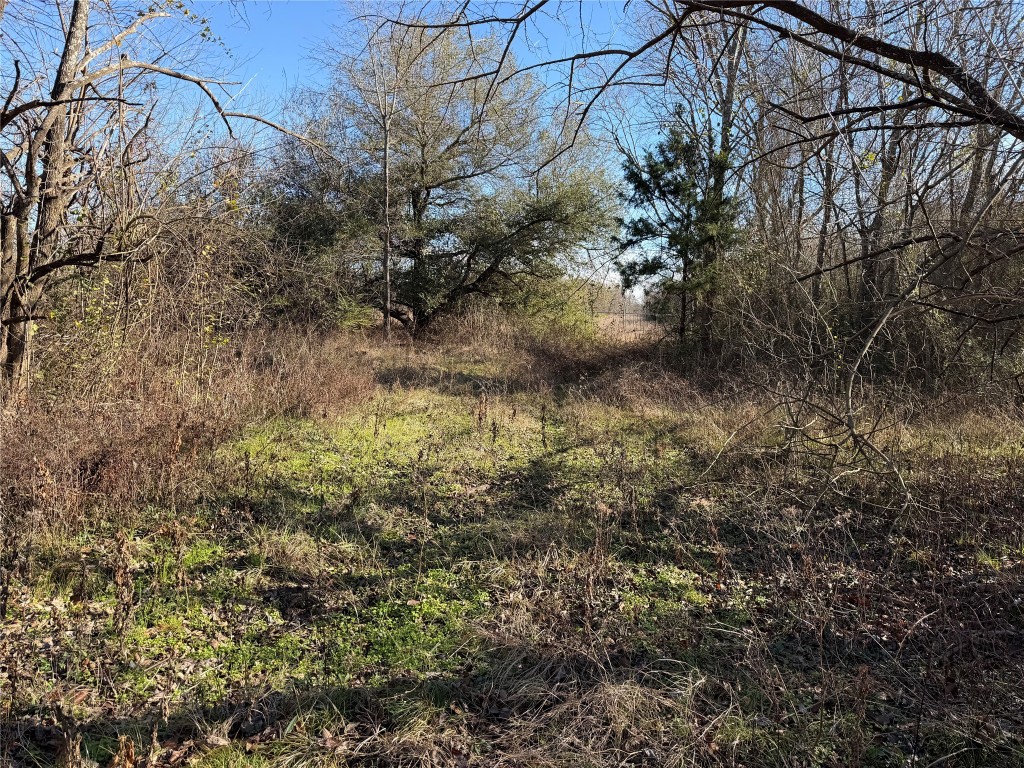 925 Tract 17 Road Mexia, TX 76667 - Photo 9 of 13 a view of a lake with lots of bushes