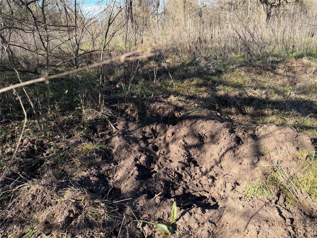 925 Tract 17 Road Mexia, TX 76667 - Photo 10 of 13 a view of a forest with a tree