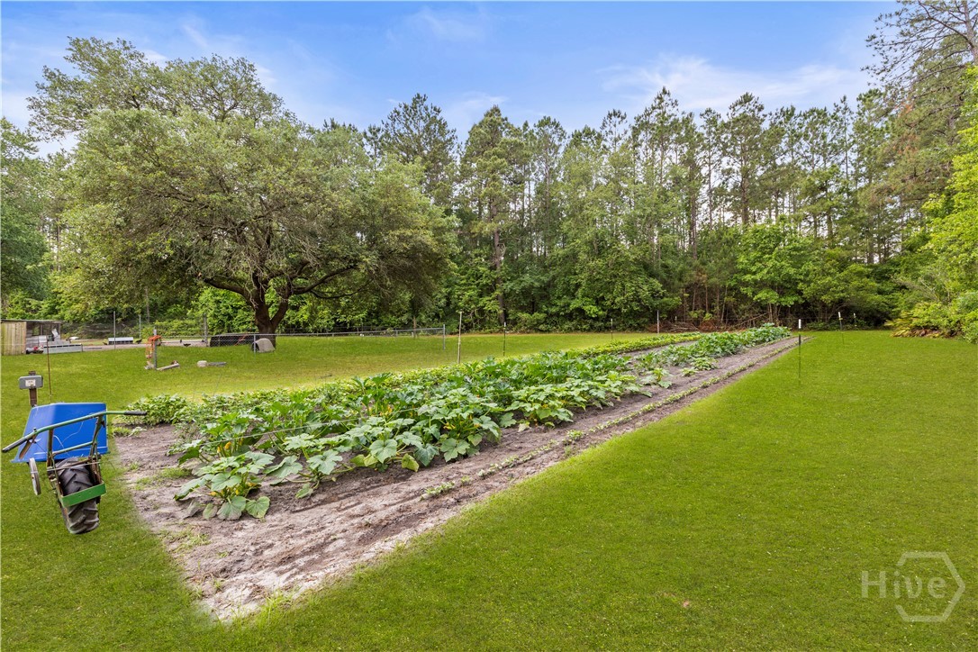 535-565 Deer Run Road Ellabell, GA 31308 - Photo 27 of 31