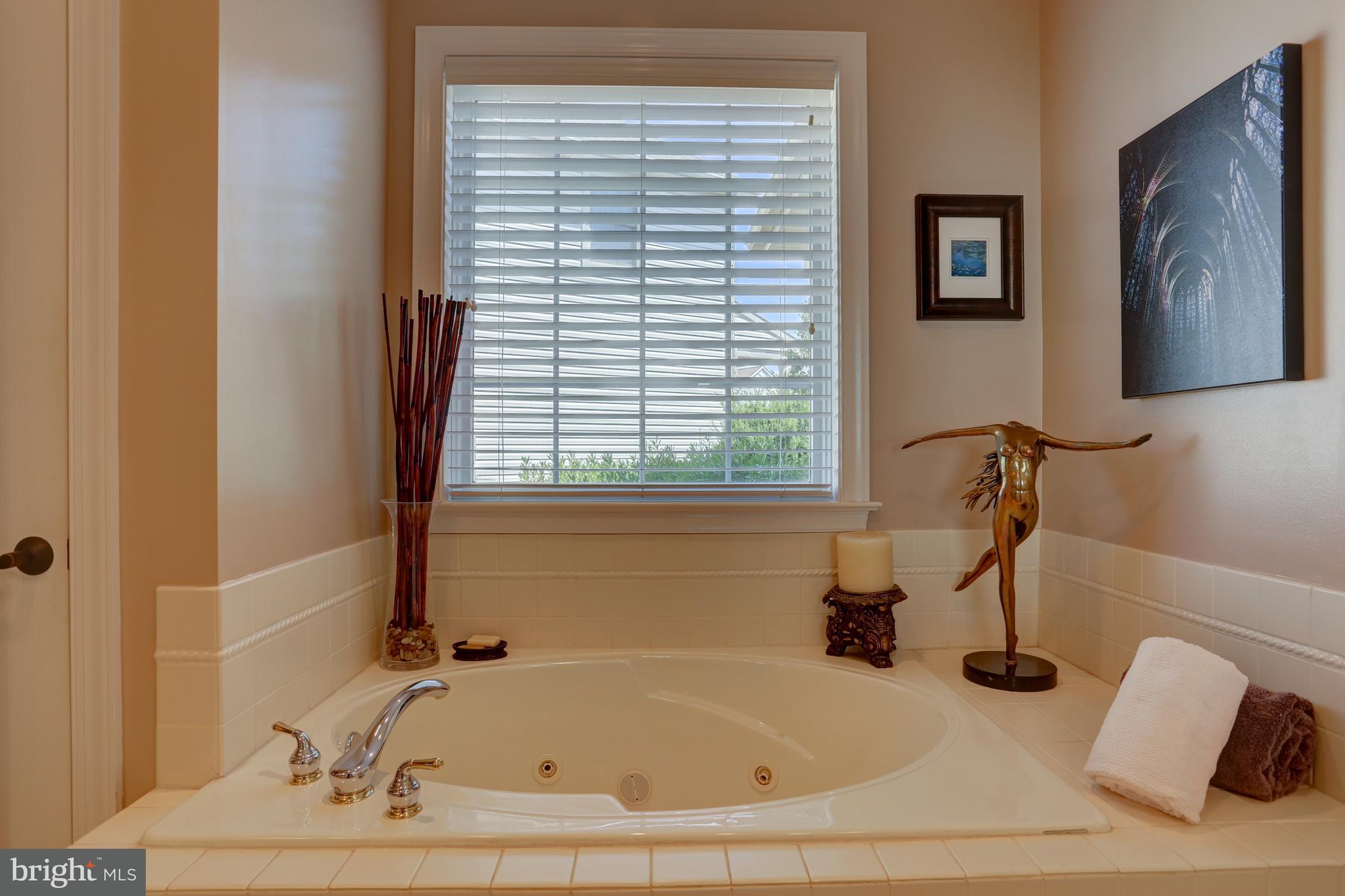 1001 Suffolk Drive Lititz, PA 17543 - Photo 18 of 37 Master bath