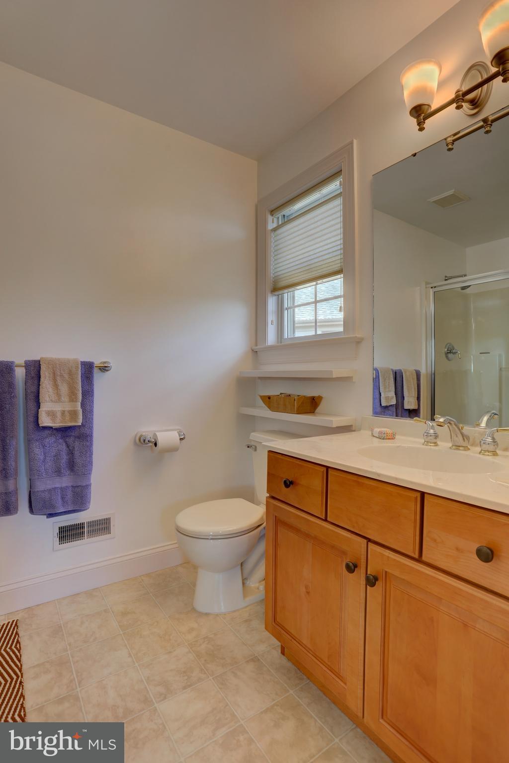 1001 Suffolk Drive Lititz, PA 17543 - Photo 29 of 37 2nd floor Family Bath