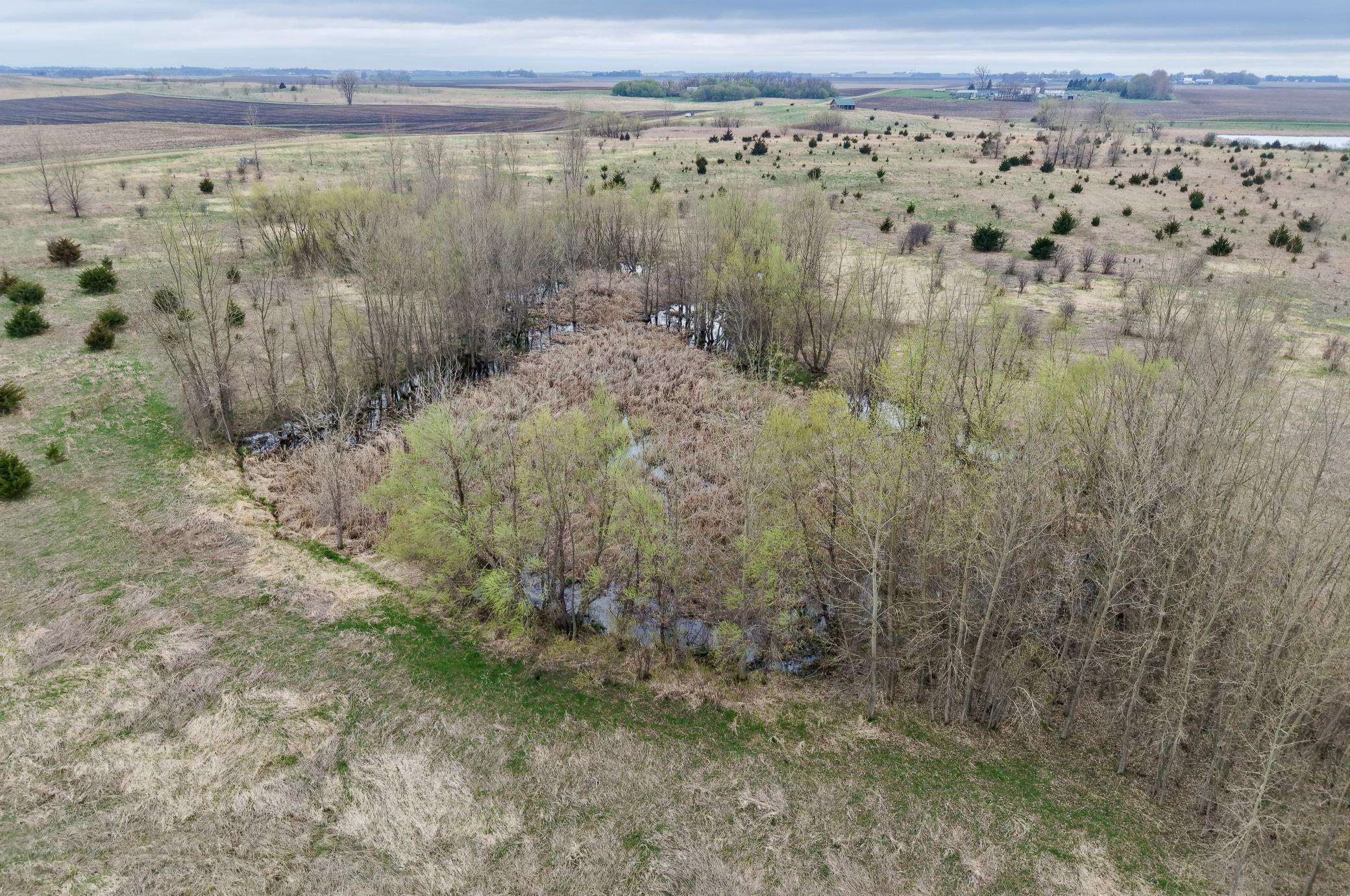 51 County Road Bingham Lake, MN 56118 - Photo 12 of 28