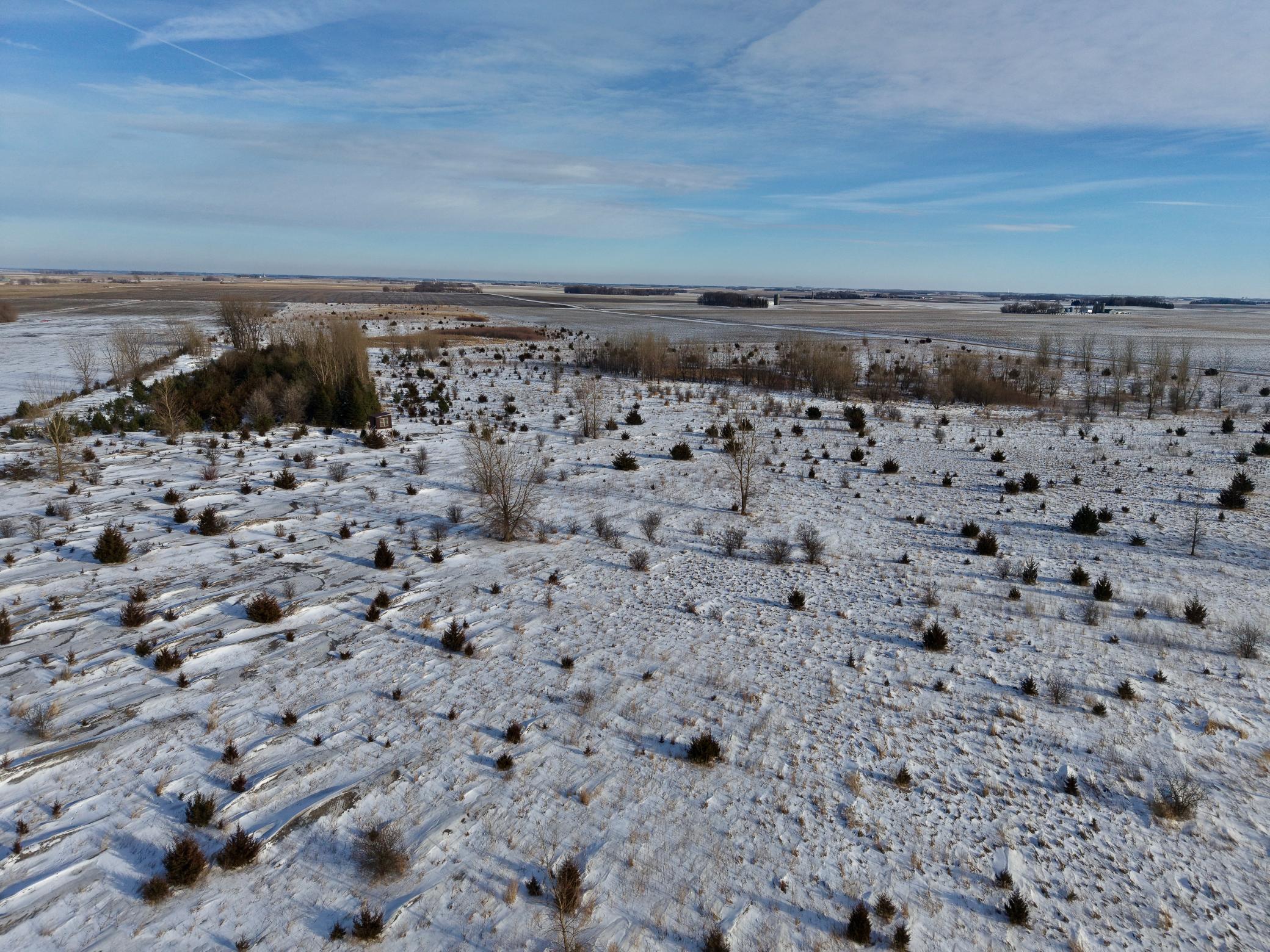51 County Road Bingham Lake, MN 56118 - Photo 6 of 24